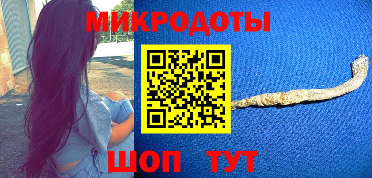 Псилоцибиновые грибы Psilocybine cubensis  Псилоцибиновые грибы мухоморы  Горно-Алтайск  Вход с VPN 